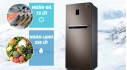 Tủ lạnh Samsung RT29K5532DX/SV 300L, Inverter