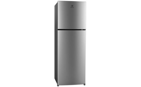 Tủ lạnh loại nào tốt? Tủ lạnh Electrolux ETB2102MG 210 lít
