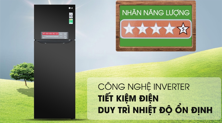 Công nghệ Inverter - Tủ lạnh LG Inverter 315 lít GN-M315BL
